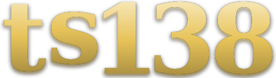 ts138 logo